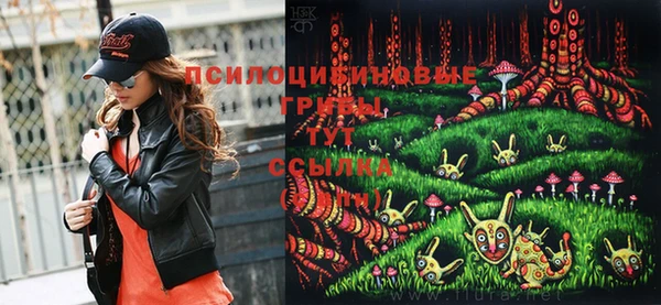 соль ск Горно-Алтайск