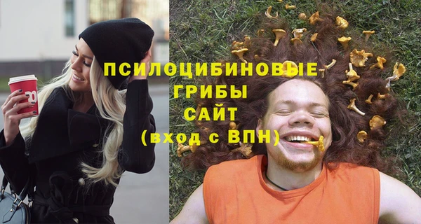 соль ск Горно-Алтайск
