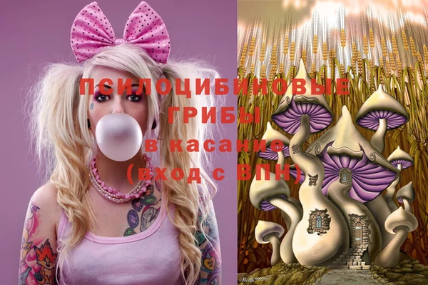 мдма Горняк