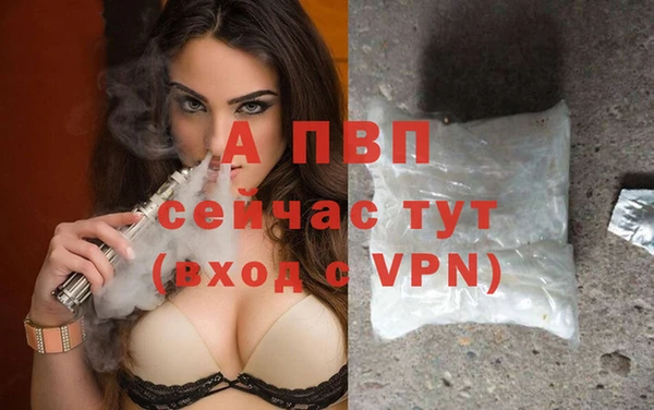 соль ск Горно-Алтайск