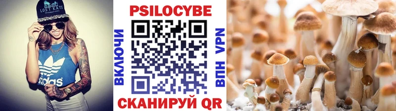 Купить закладки  Оса  Псилоцибиновые грибы мухоморы 