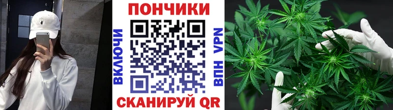 МАРИХУАНА план Оса